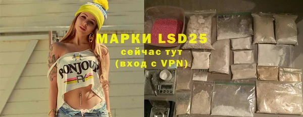 эйфоретик Вяземский