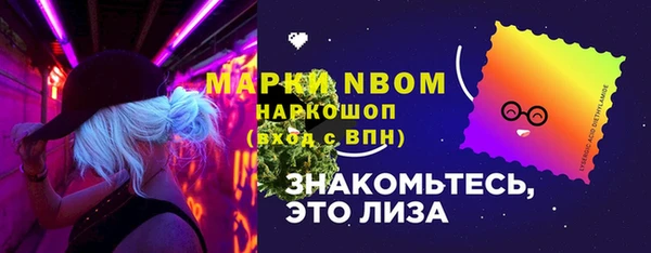 стаф Вязники