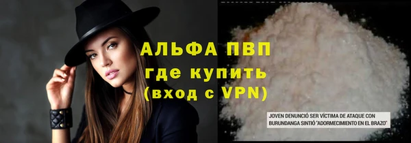 стаф Вязники