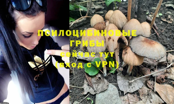 стаф Вязники