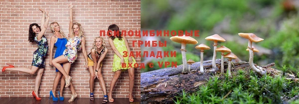 стаф Вязники
