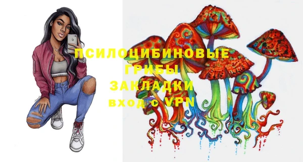 эйфоретик Вяземский