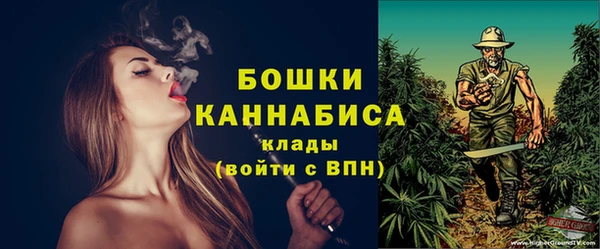 стаф Вязники
