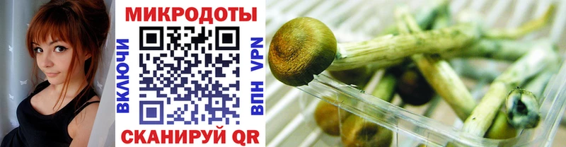 Купить где  Фрязино  Псилоцибиновые грибы Magic Shrooms 