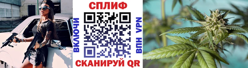 Купить закладки  Фрязино  Канабис OG Kush 